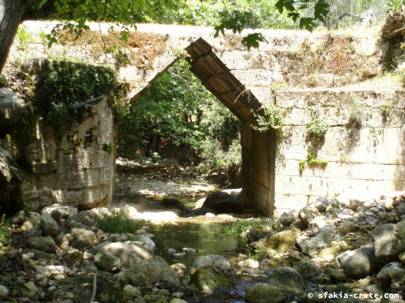 Photo report of a stay in and around Sfakia and Crete, May 2008